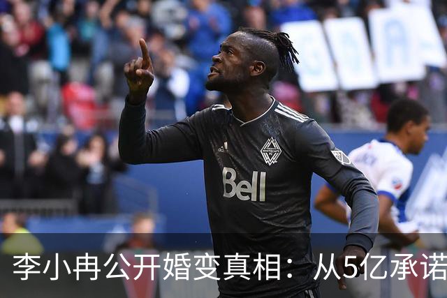 李小冉公开婚变真相：从5亿承诺到丁克困境的背后