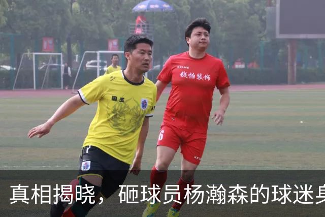 真相揭晓，砸球员杨瀚森的球迷身份曝光，背后原因引发关注